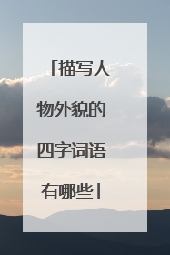 描写人物外貌的四字词语有哪些