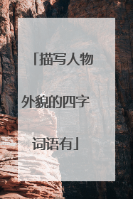 描写人物外貌的四字词语有
