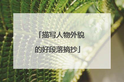 描写人物外貌的好段落摘抄
