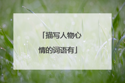 描写人物心情的词语有