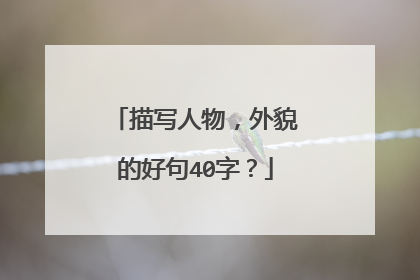 描写人物，外貌的好句40字？