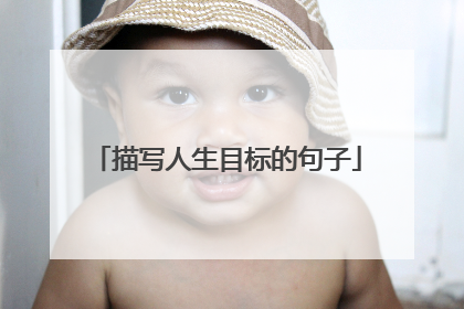 描写人生目标的句子