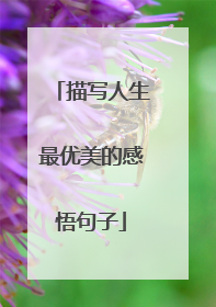 描写人生最优美的感悟句子