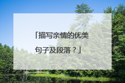 描写亲情的优美句子及段落?