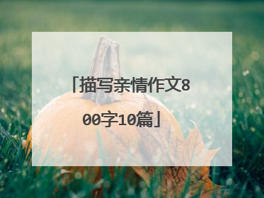 描写亲情作文800字10篇