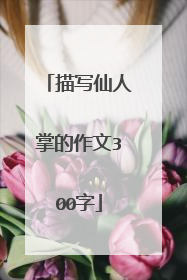 描写仙人掌的作文300字