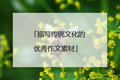 描写传统文化的优秀作文素材