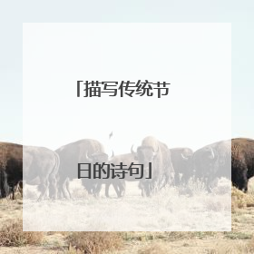 描写传统节日的诗句