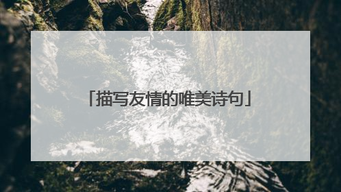 描写友情的唯美诗句