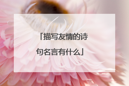 描写友情的诗句名言有什么