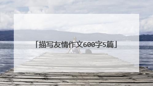 描写友情作文600字5篇