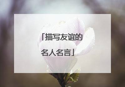 描写友谊的名人名言