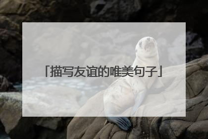 描写友谊的唯美句子