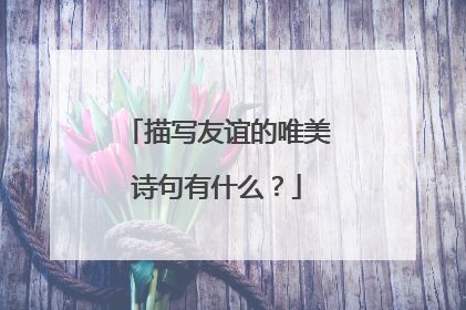 描写友谊的唯美诗句有什么?