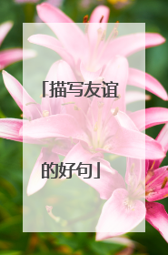 描写友谊的好句