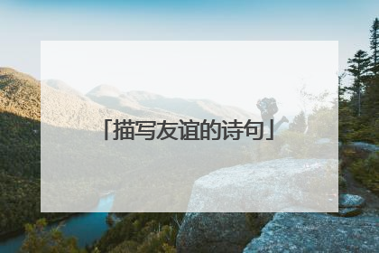 描写友谊的诗句