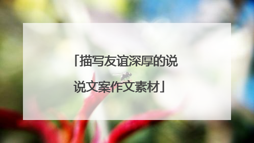 描写友谊深厚的说说文案作文素材