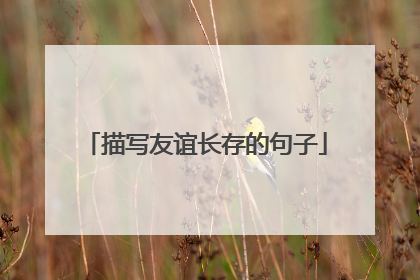 描写友谊长存的句子