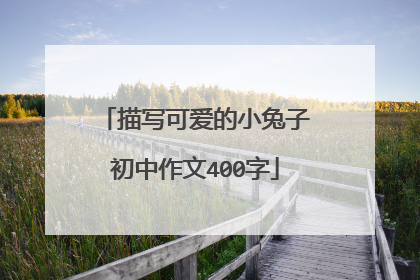 描写可爱的小兔子初中作文400字