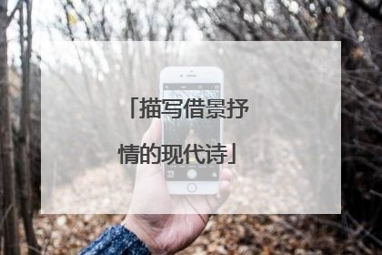 描写借景抒情的现代诗