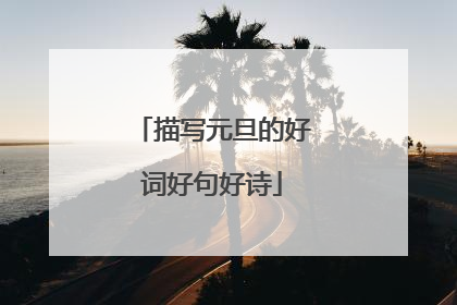 描写元旦的好词好句好诗