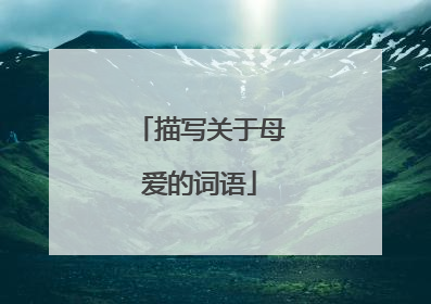 描写关于母爱的词语