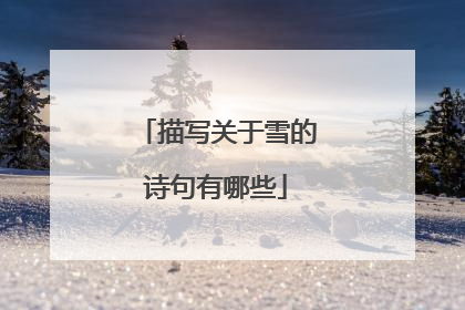 描写关于雪的诗句有哪些