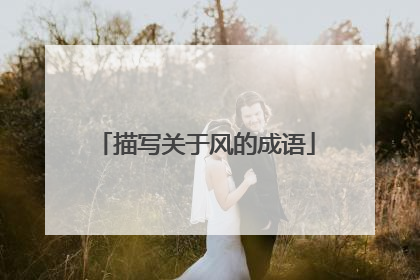 描写关于风的成语