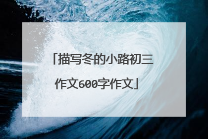 描写冬的小路初三作文600字作文