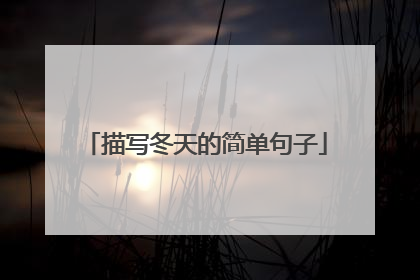 描写冬天的简单句子