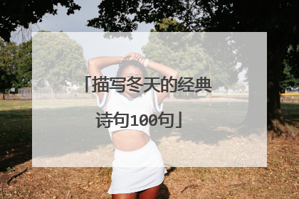 描写冬天的经典诗句100句