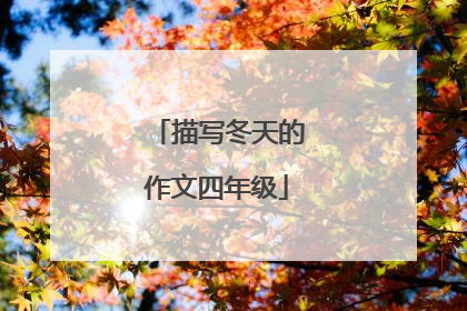 描写冬天的作文四年级