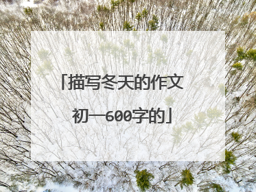 描写冬天的作文 初一600字的