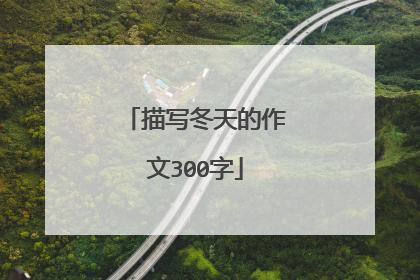 描写冬天的作文300字