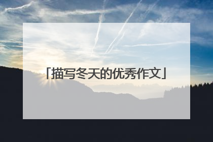 描写冬天的优秀作文