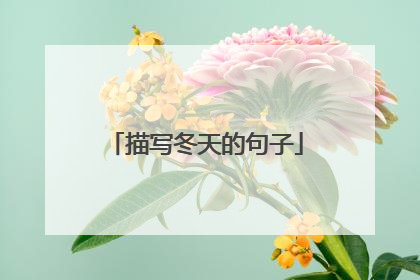 描写冬天的句子