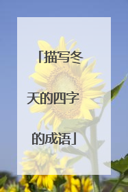 描写冬天的四字的成语