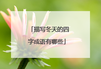 描写冬天的四字成语有哪些