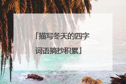 描写冬天的四字词语摘抄积累