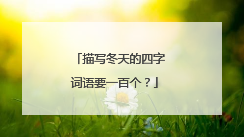 描写冬天的四字词语要一百个?