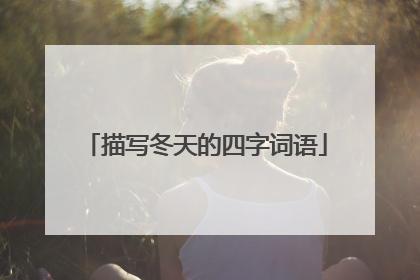 描写冬天的四字词语