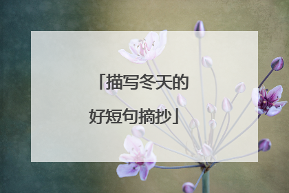 描写冬天的好短句摘抄