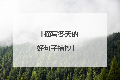 描写冬天的好句子摘抄