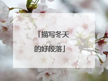 描写冬天的好段落