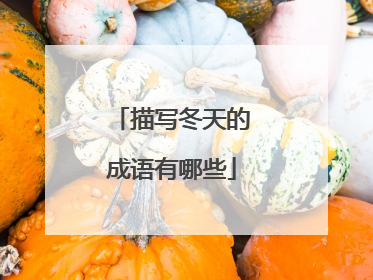 描写冬天的成语有哪些