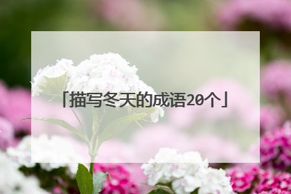 描写冬天的成语20个