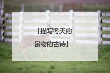 描写冬天的景物的古诗