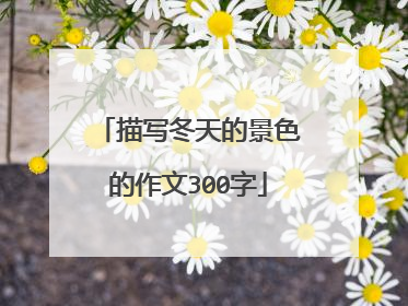 描写冬天的景色的作文300字