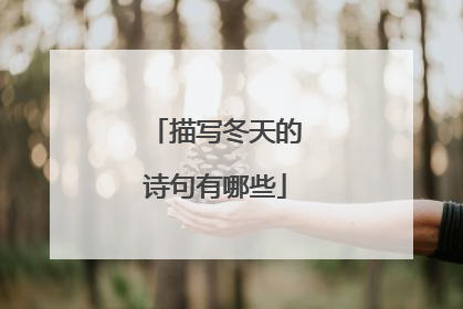 描写冬天的诗句有哪些