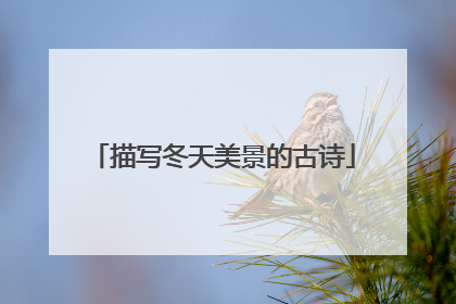 描写冬天美景的古诗